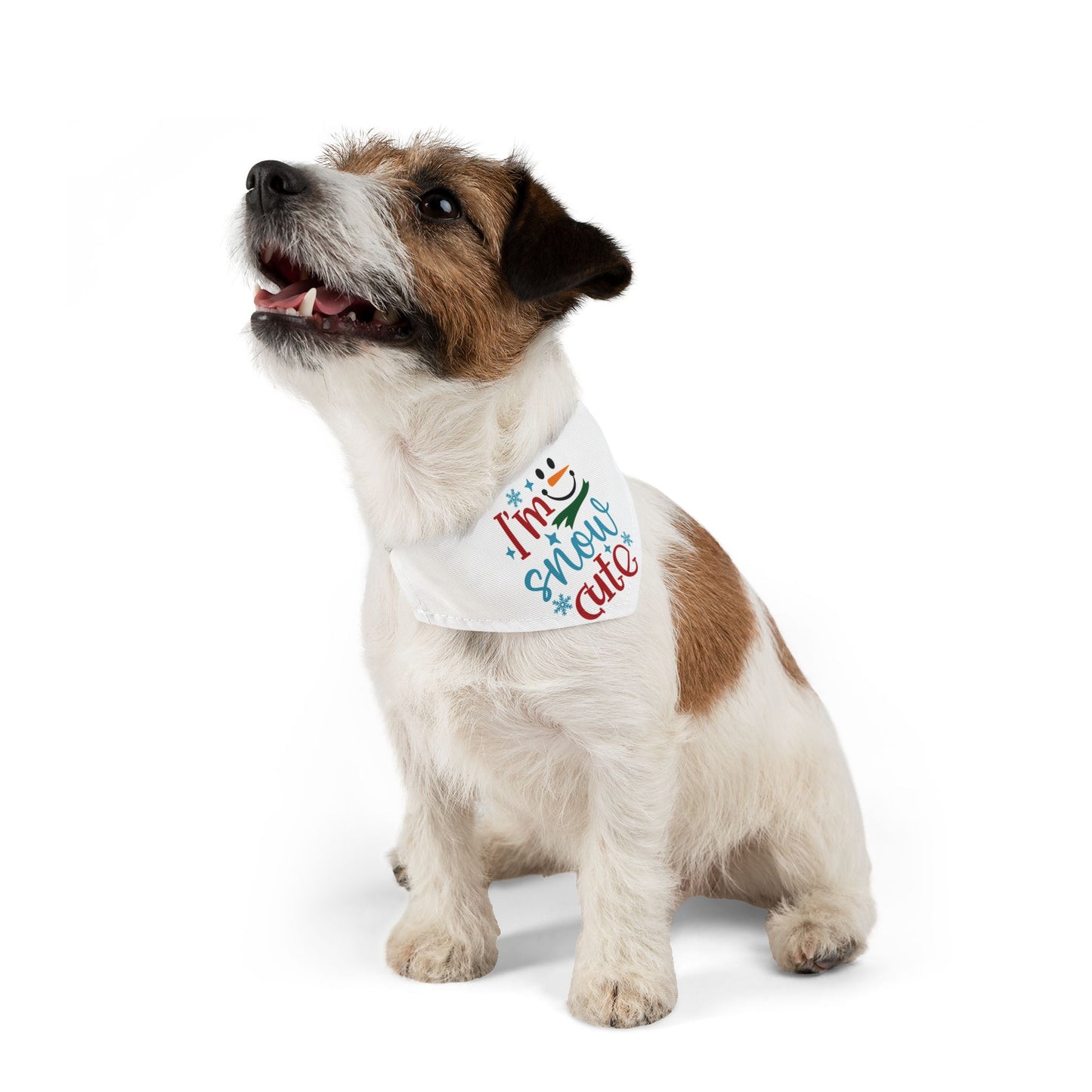 I'M SNOW CUTE. PET HUMOR. Pet Bandana Collar in Four Sizes.