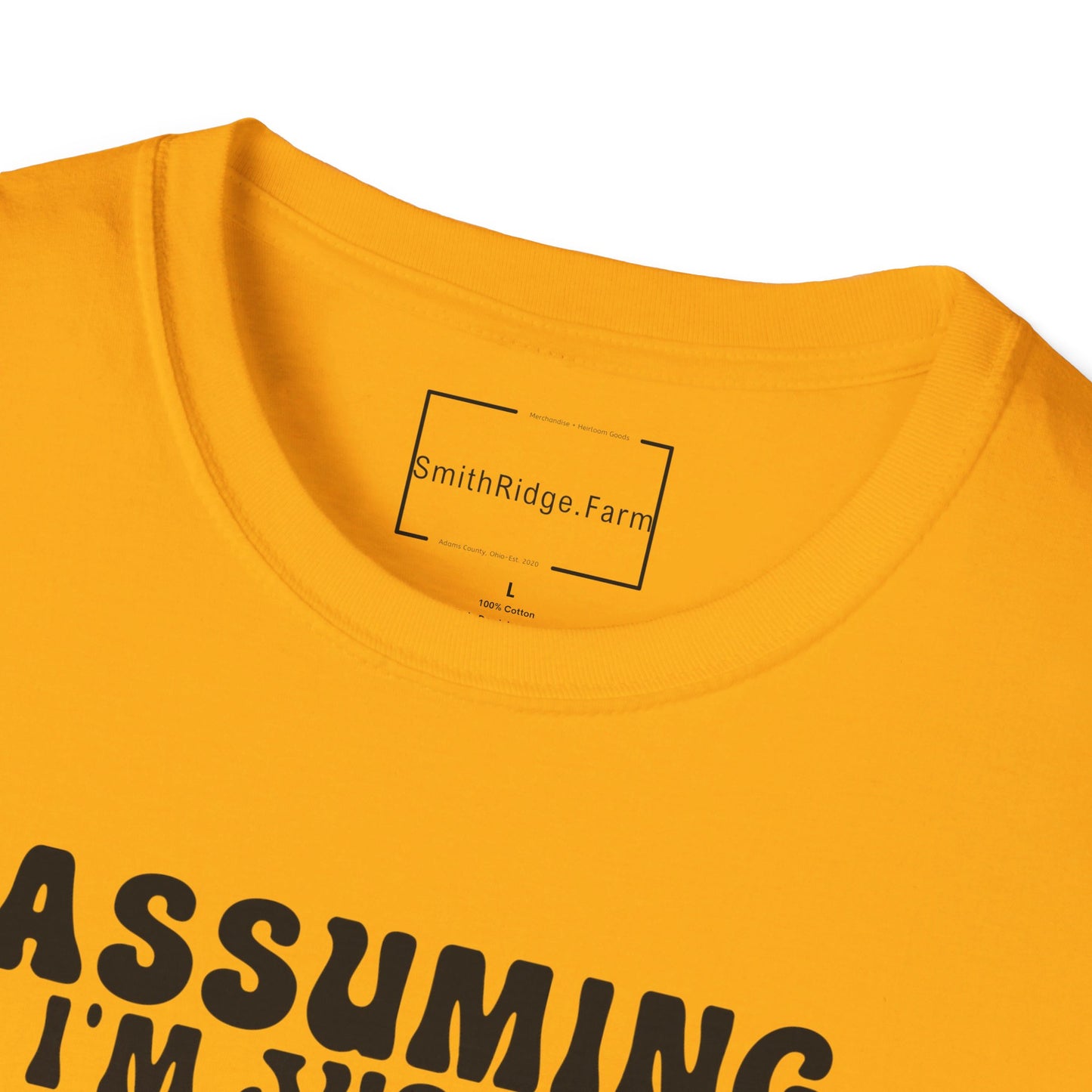 ASSUMING I'M JUST AN OLD LADY WAS YOUR FIRST MISTAKE. HIPPIE HUMOR. Cotton, Short Sleeve, Crew Neck Tee.