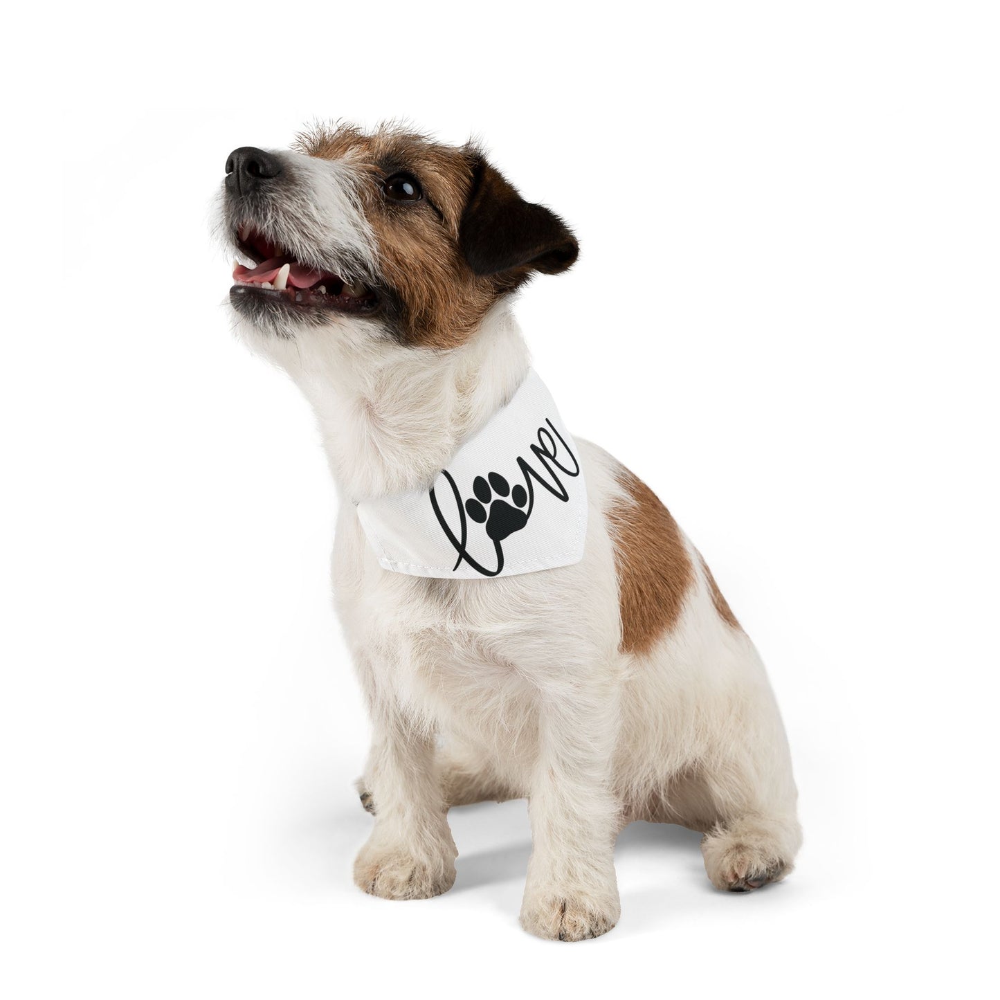 LOVE WITH A PAW PRINT. Pet Bandana Collar in Four Sizes.