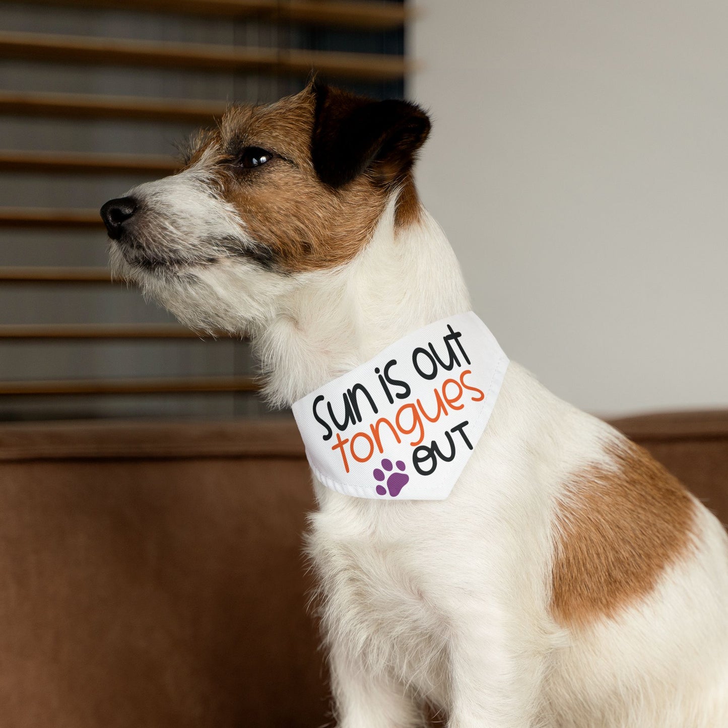 SUN IS OUT, TONGUES OUT. PET HUMOR. Pet Bandana Collar in Four Sizes.