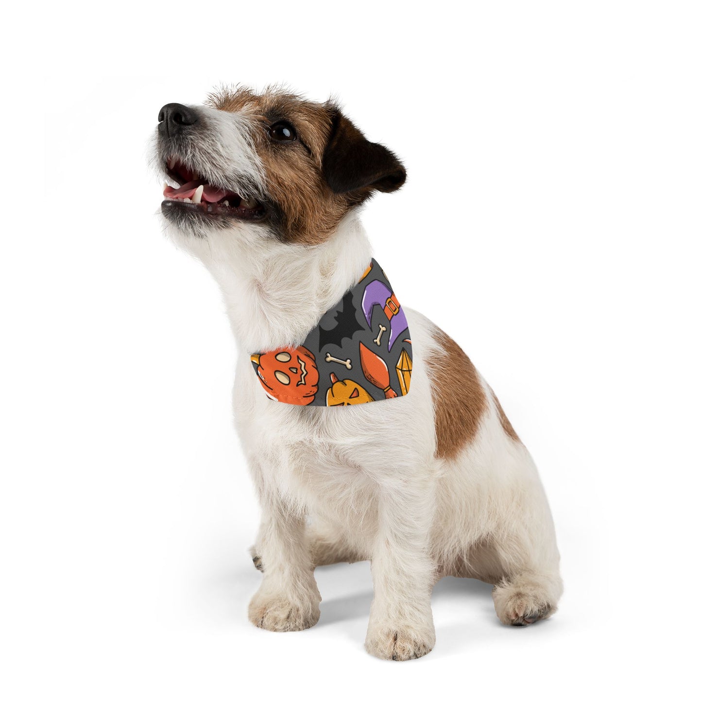 HAPPY HALLOWEEN. Pet Bandana Collar in Four Sizes.