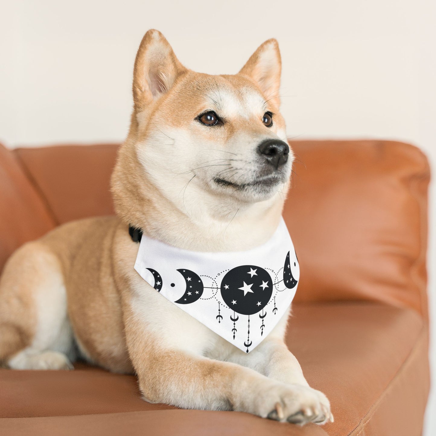 MYSTIC MOON, CELESTIAL MOON PHASE. Pet Bandana Collar in Four Sizes.