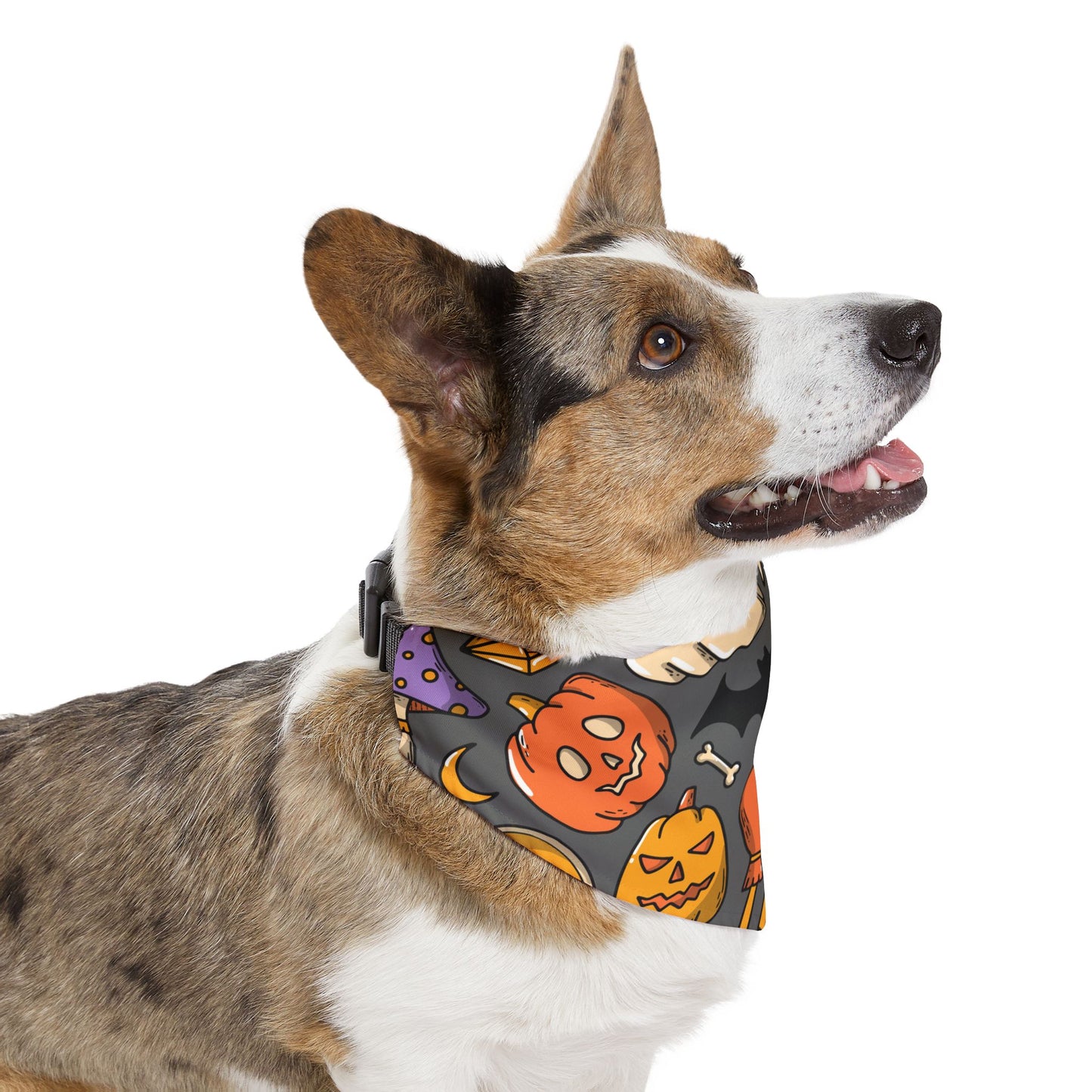 HAPPY HALLOWEEN. Pet Bandana Collar in Four Sizes.