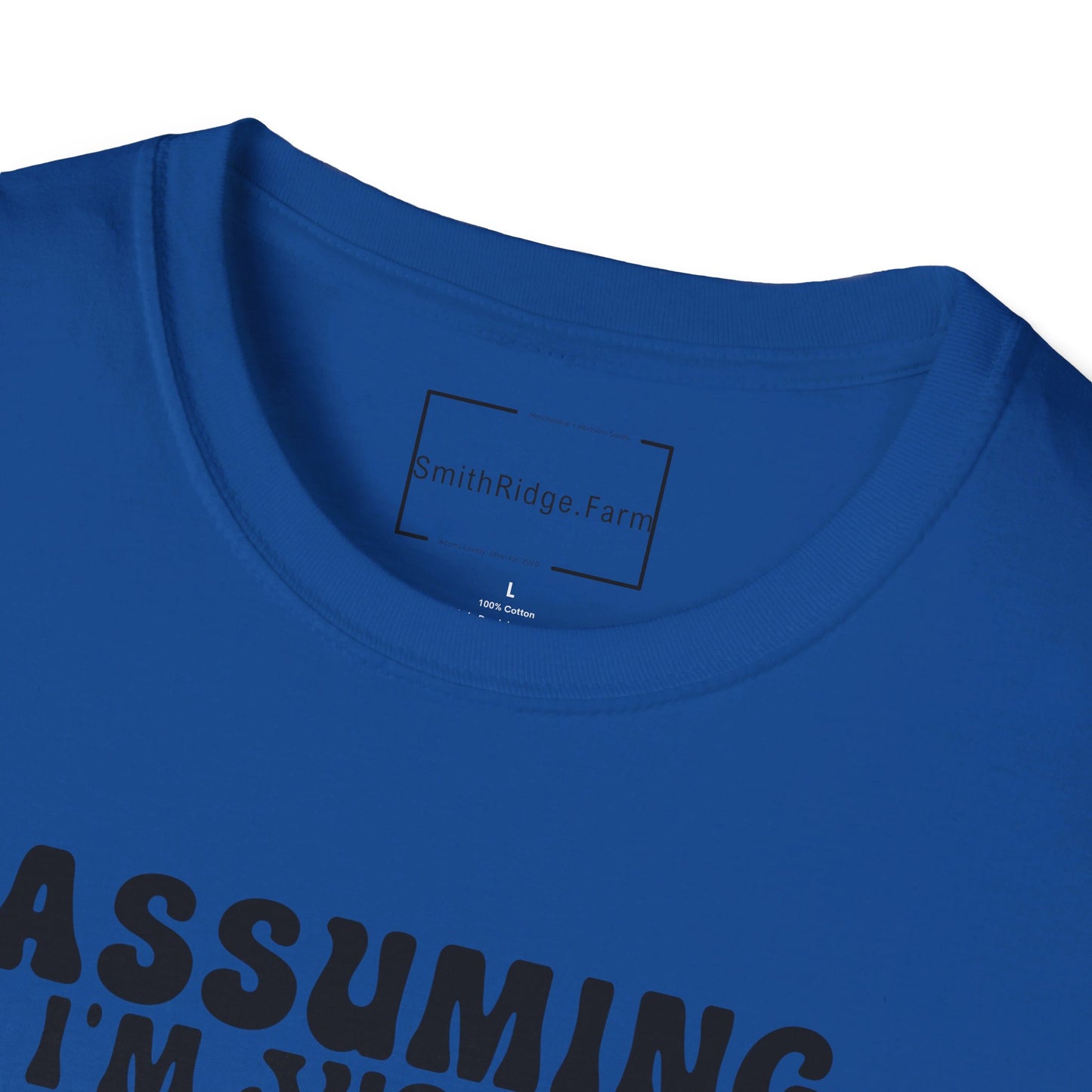 ASSUMING I'M JUST AN OLD LADY WAS YOUR FIRST MISTAKE. HIPPIE HUMOR. Cotton, Short Sleeve, Crew Neck Tee.