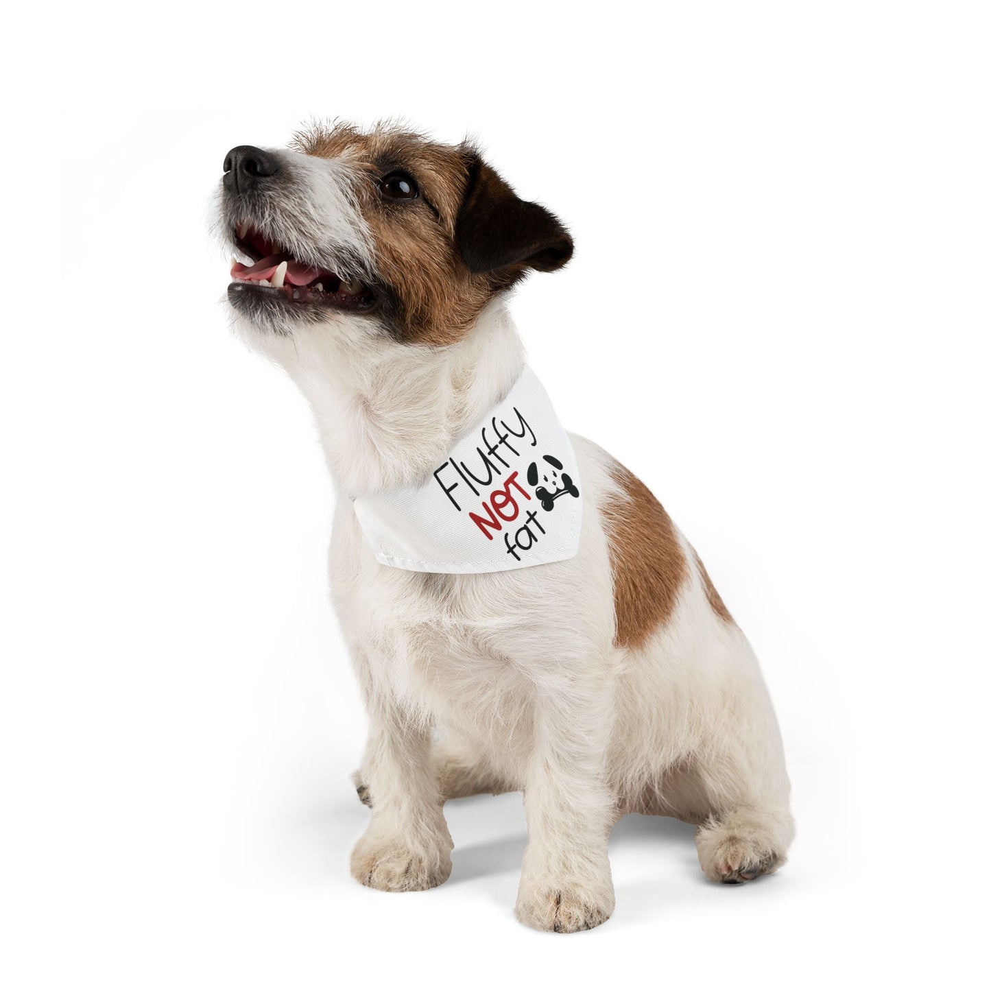 FLUFFY, NOT FAT. PET HUMOR. Pet Bandana Collar in Four Sizes.