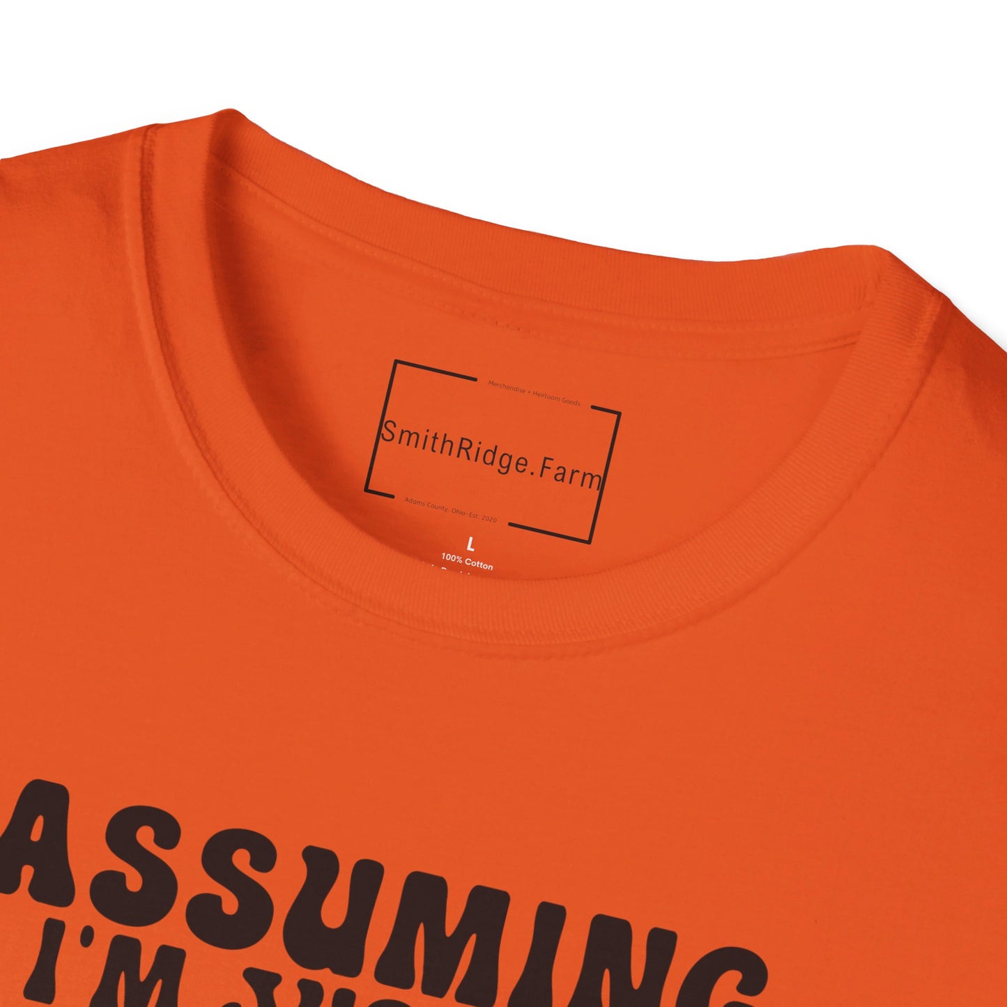 ASSUMING I'M JUST AN OLD LADY WAS YOUR FIRST MISTAKE. HIPPIE HUMOR. Cotton, Short Sleeve, Crew Neck Tee.