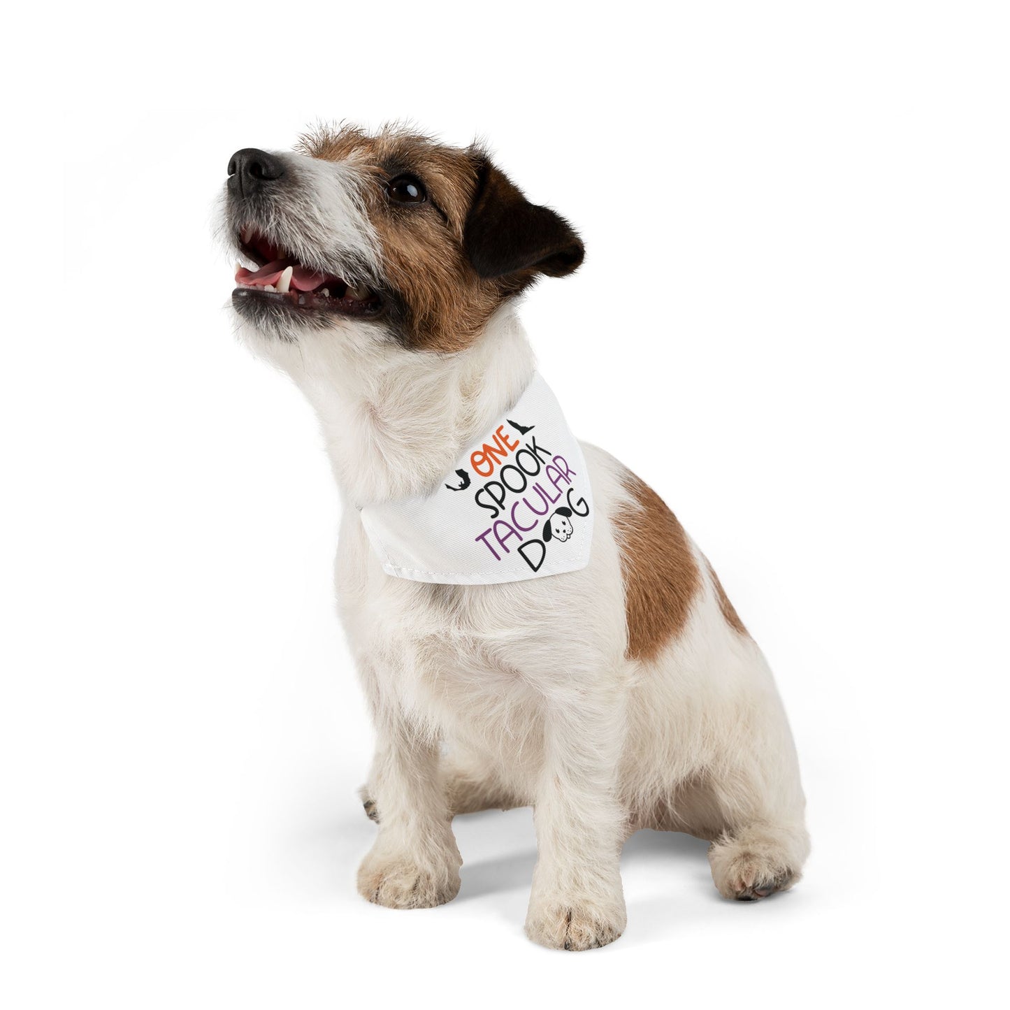 ONE SPOOKTACULAR DOG. HALLOWEEN PET HUMOR. Pet Bandana Collar in Four Sizes.