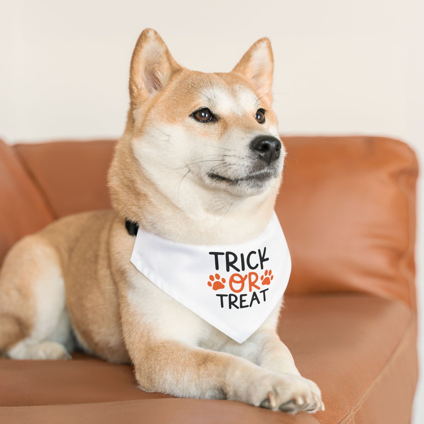 TRICK OR TREAT. HALLOWEEN PET HUMOR. Pet Bandana Collar in Four Sizes.
