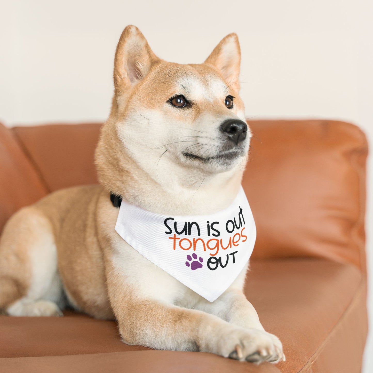 SUN IS OUT, TONGUES OUT. PET HUMOR. Pet Bandana Collar in Four Sizes.