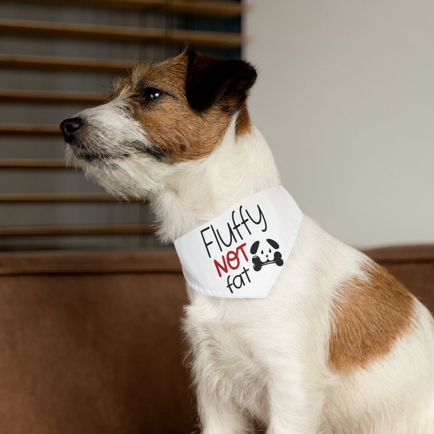 FLUFFY, NOT FAT. PET HUMOR. Pet Bandana Collar in Four Sizes.