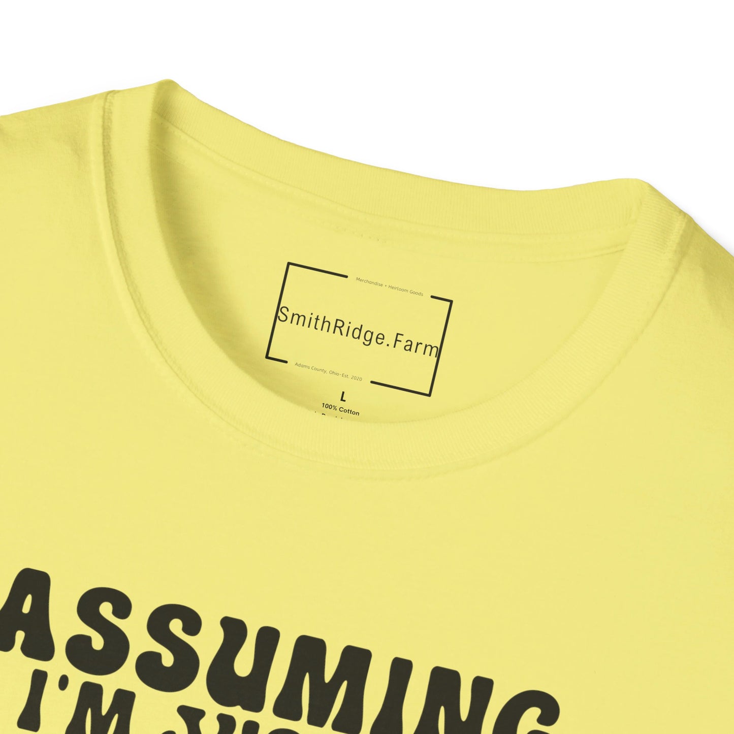 ASSUMING I'M JUST AN OLD LADY WAS YOUR FIRST MISTAKE. HIPPIE HUMOR. Cotton, Short Sleeve, Crew Neck Tee.