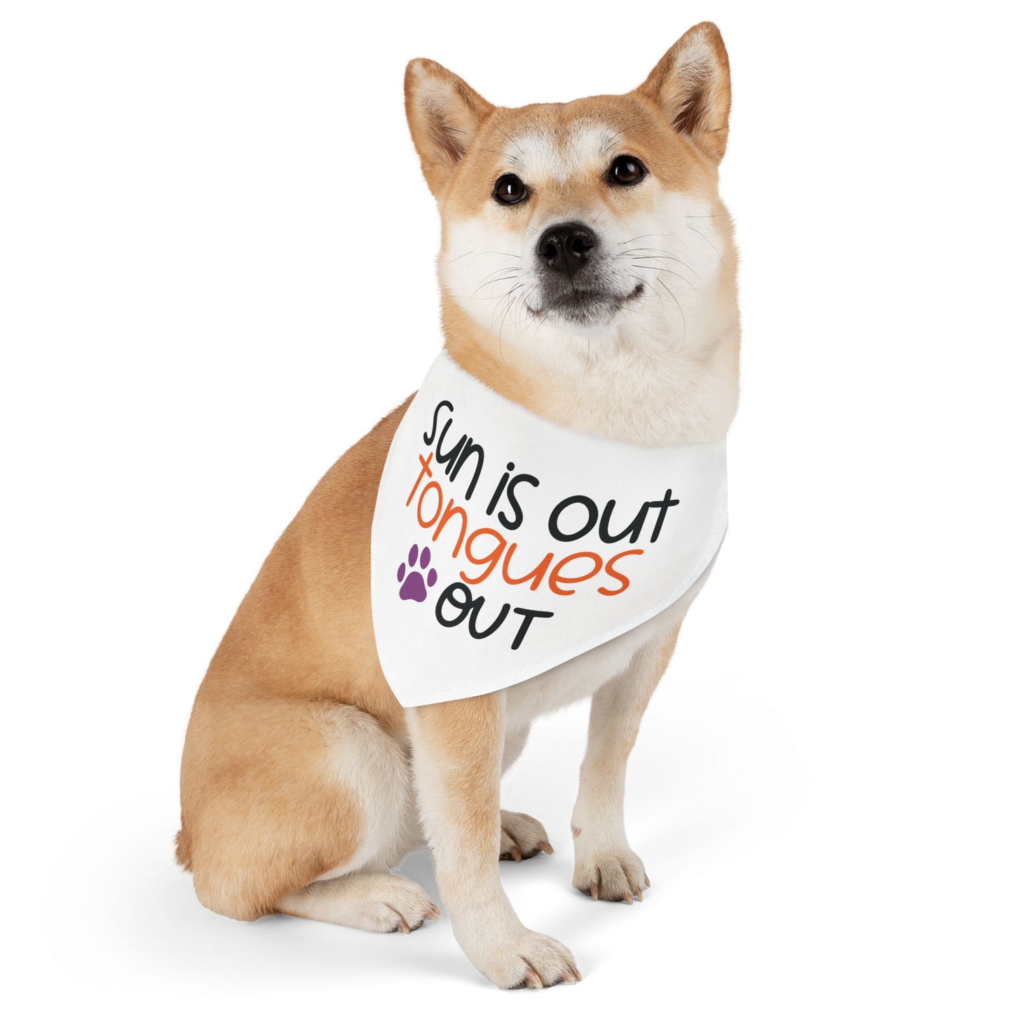 SUN IS OUT, TONGUES OUT. PET HUMOR. Pet Bandana Collar in Four Sizes.