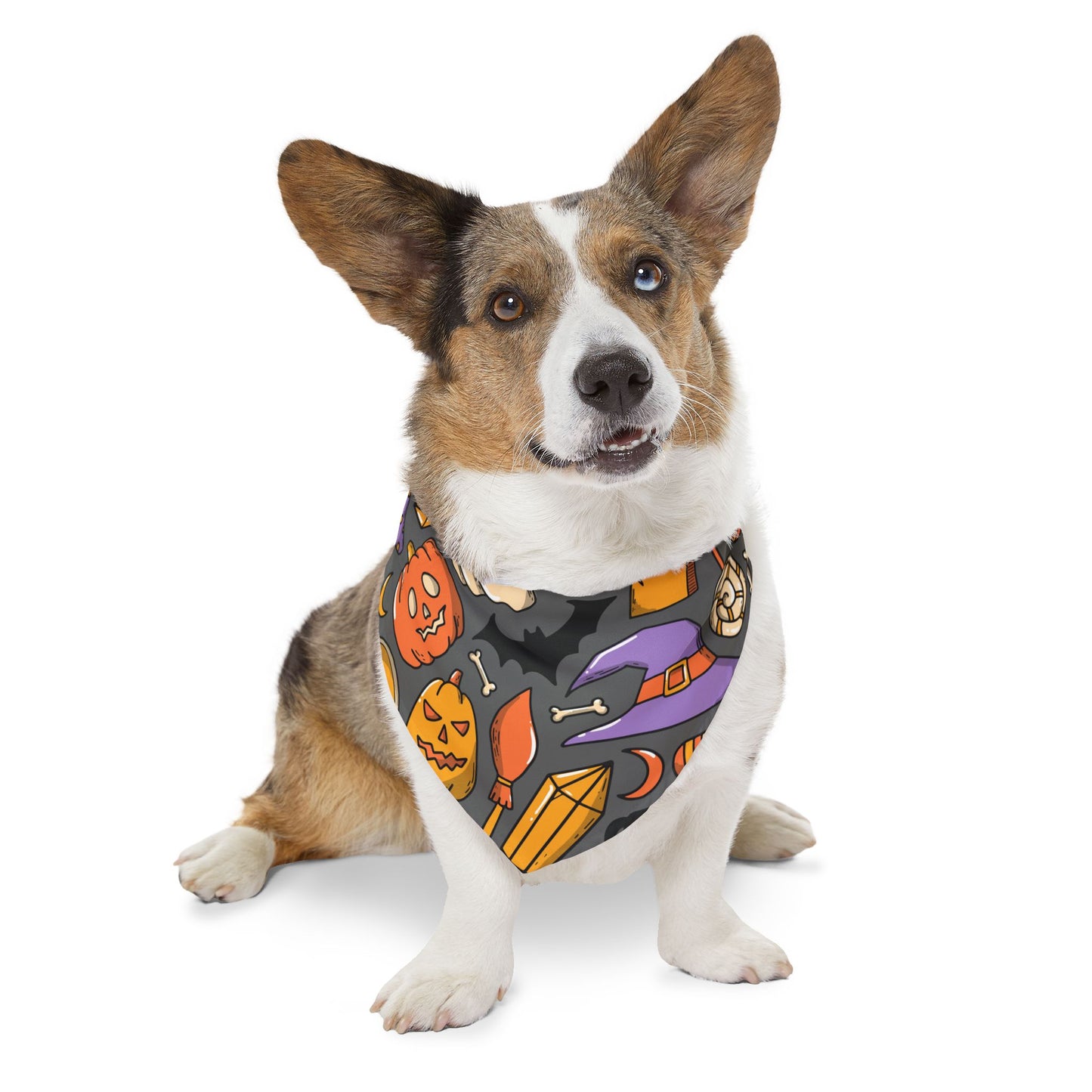 HAPPY HALLOWEEN. Pet Bandana Collar in Four Sizes.