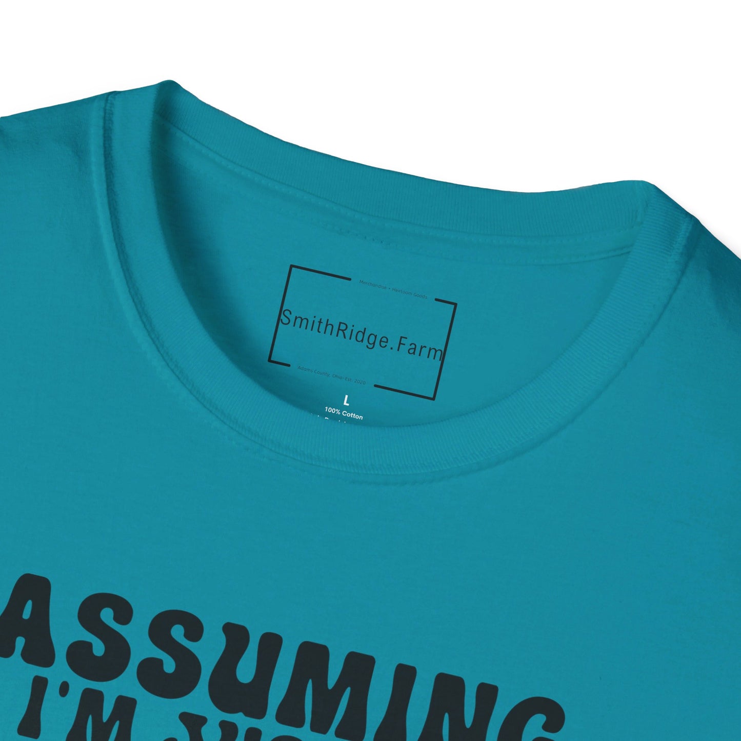 ASSUMING I'M JUST AN OLD LADY WAS YOUR FIRST MISTAKE. HIPPIE HUMOR. Cotton, Short Sleeve, Crew Neck Tee.