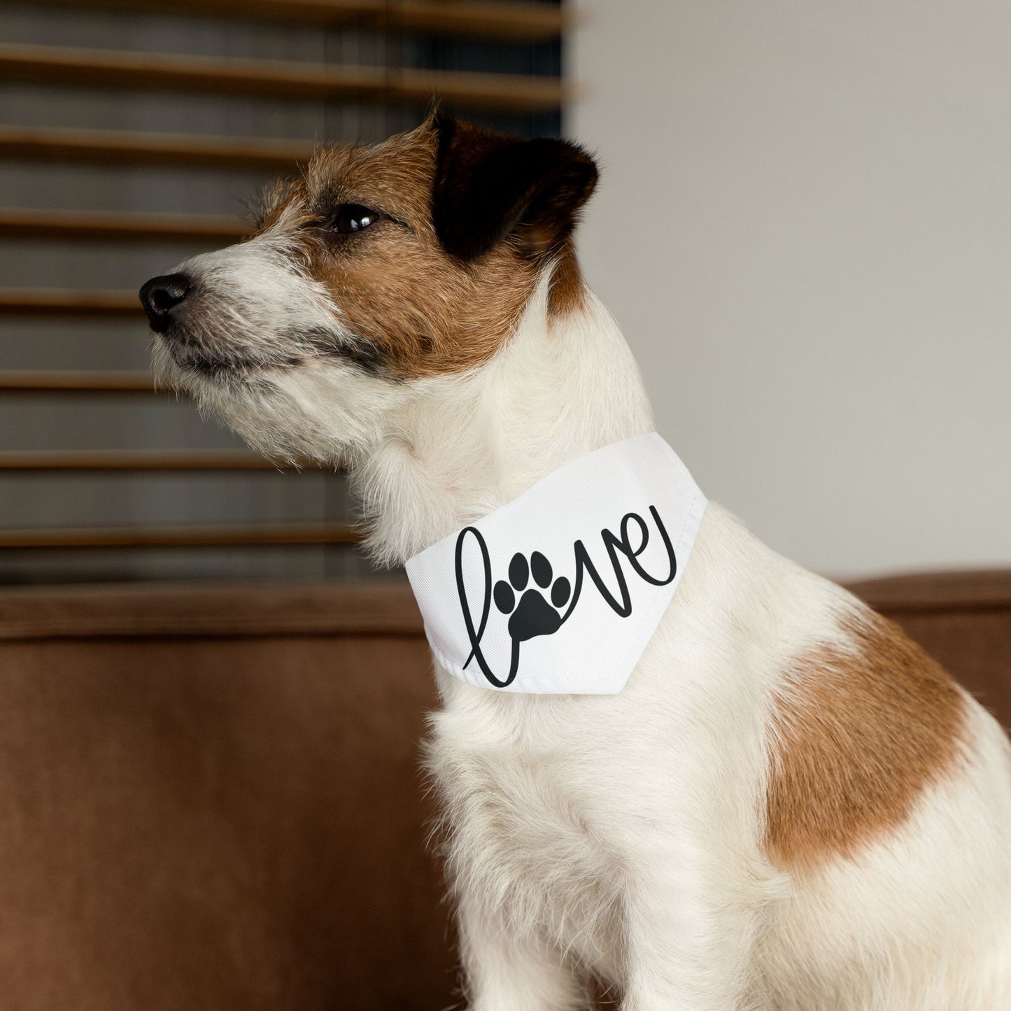 LOVE WITH A PAW PRINT. Pet Bandana Collar in Four Sizes.