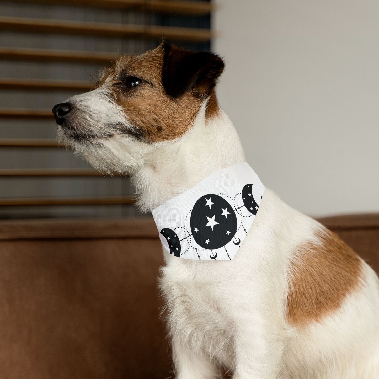 MYSTIC MOON, CELESTIAL MOON PHASE. Pet Bandana Collar in Four Sizes.
