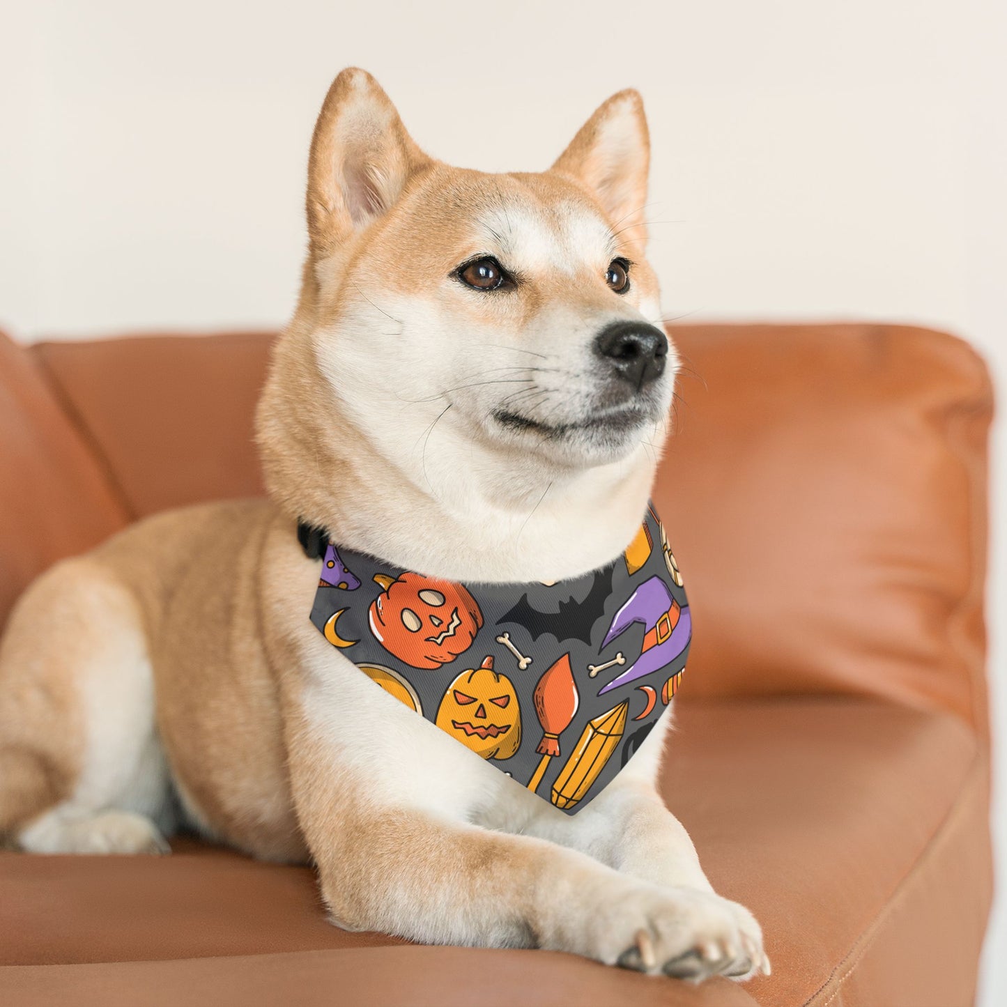 HAPPY HALLOWEEN. Pet Bandana Collar in Four Sizes.