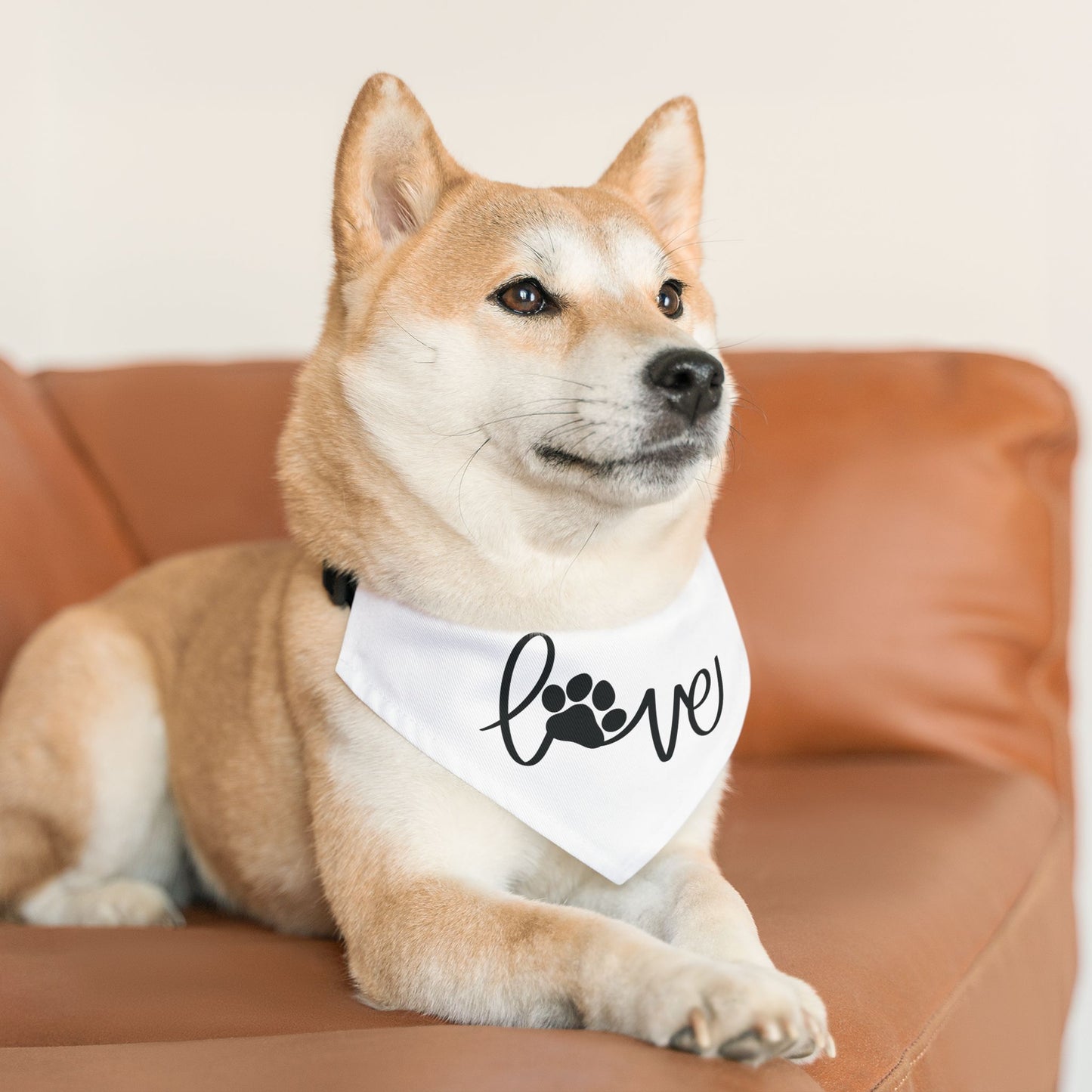 LOVE WITH A PAW PRINT. Pet Bandana Collar in Four Sizes.