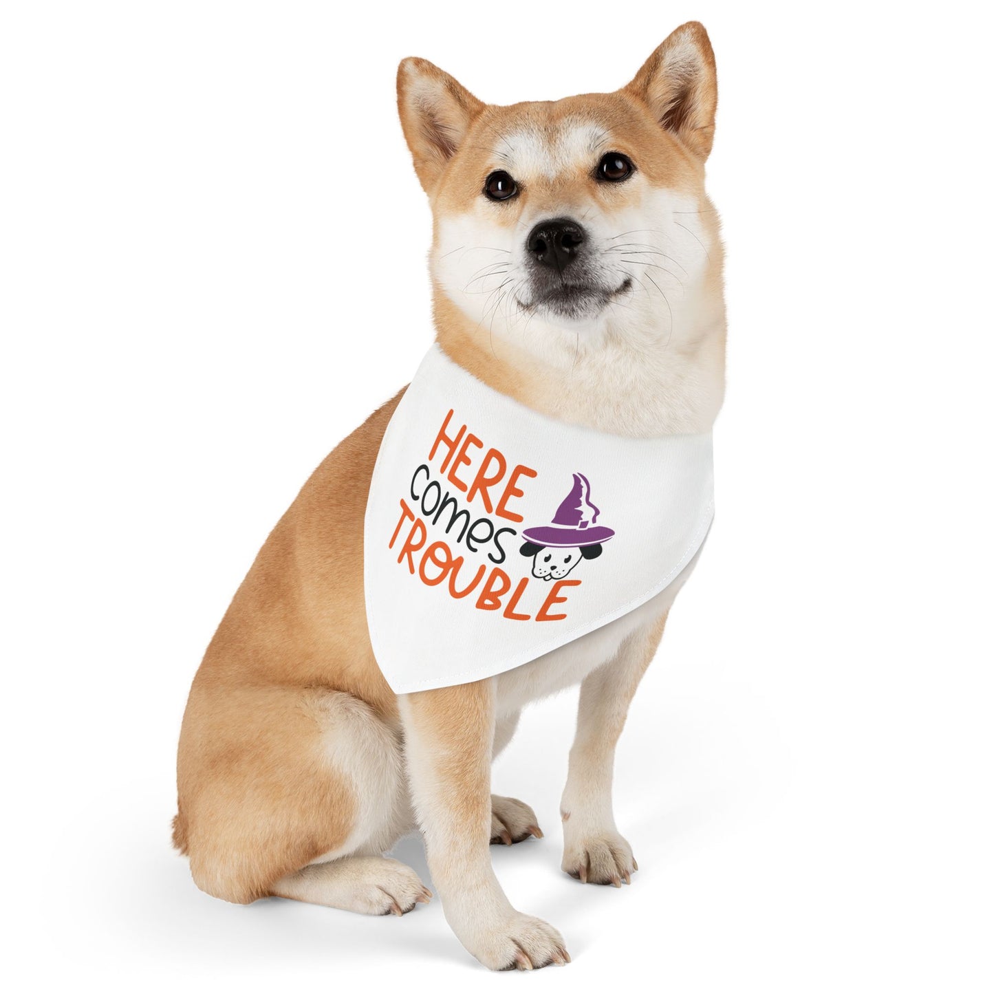 HERE COMES THROUBLE. HALLOWEEN PET HUMOR. Pet Bandana Collar in Four Sizes.