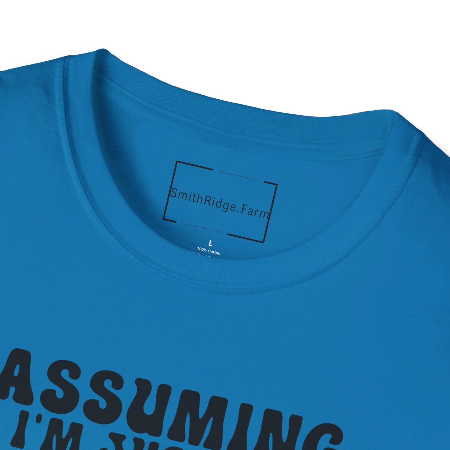 ASSUMING I'M JUST AN OLD LADY WAS YOUR FIRST MISTAKE. HIPPIE HUMOR. Cotton, Short Sleeve, Crew Neck Tee.