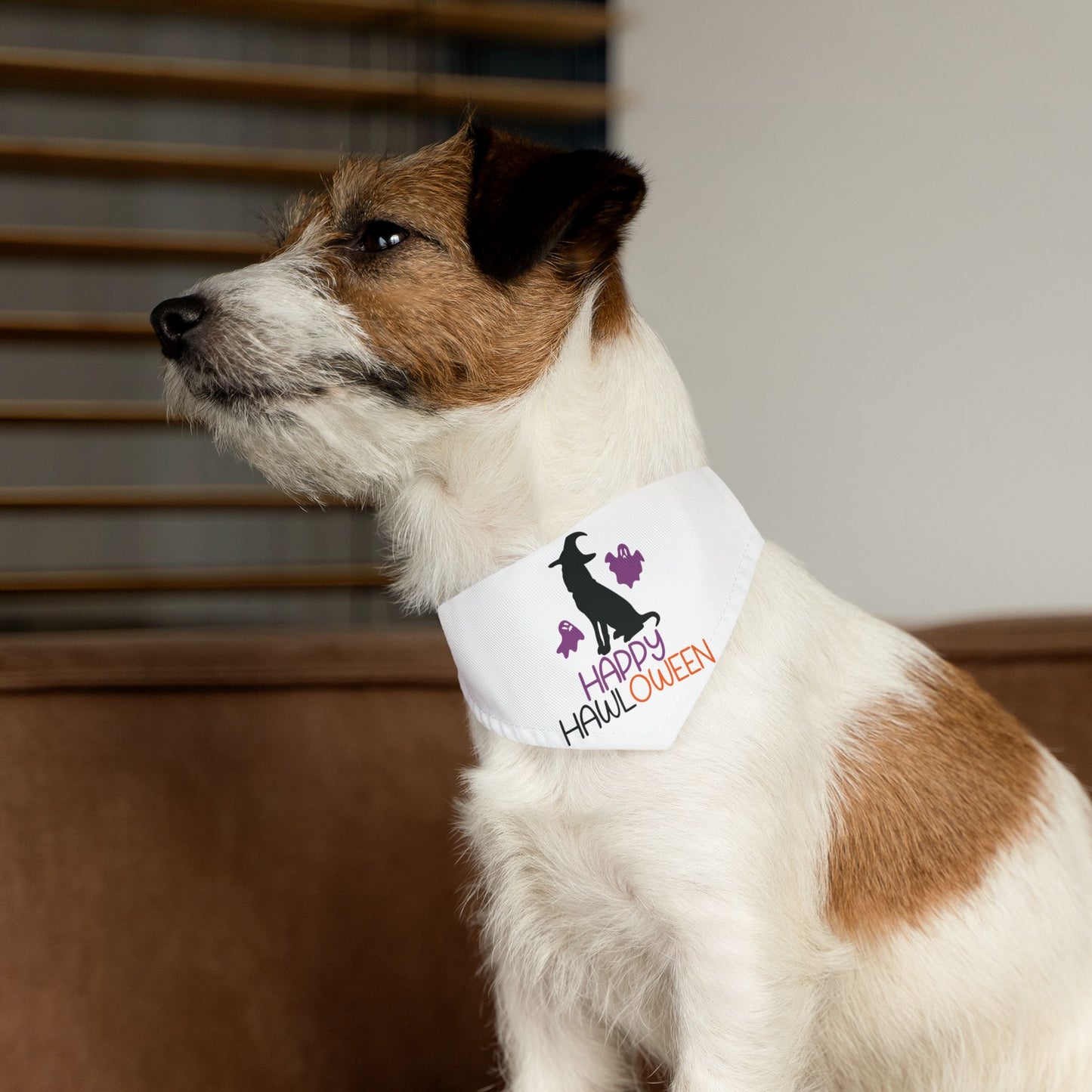 HAPPY HAWLOWEEN. HALLOWEEN PET HUMOR. Pet Bandana Collar in Four Sizes.