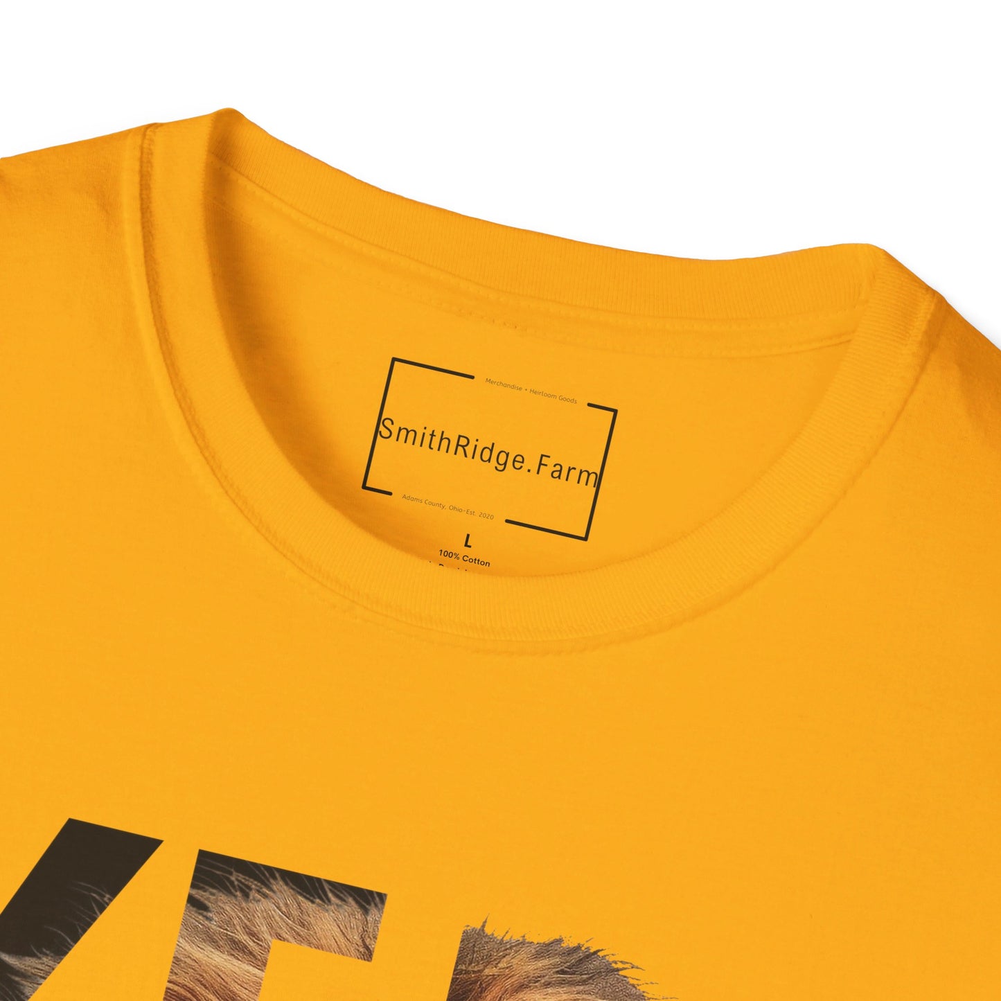 YESHUA, LION OF JUDAH. Cotton, Short Sleeve, Crew Neck Tee.