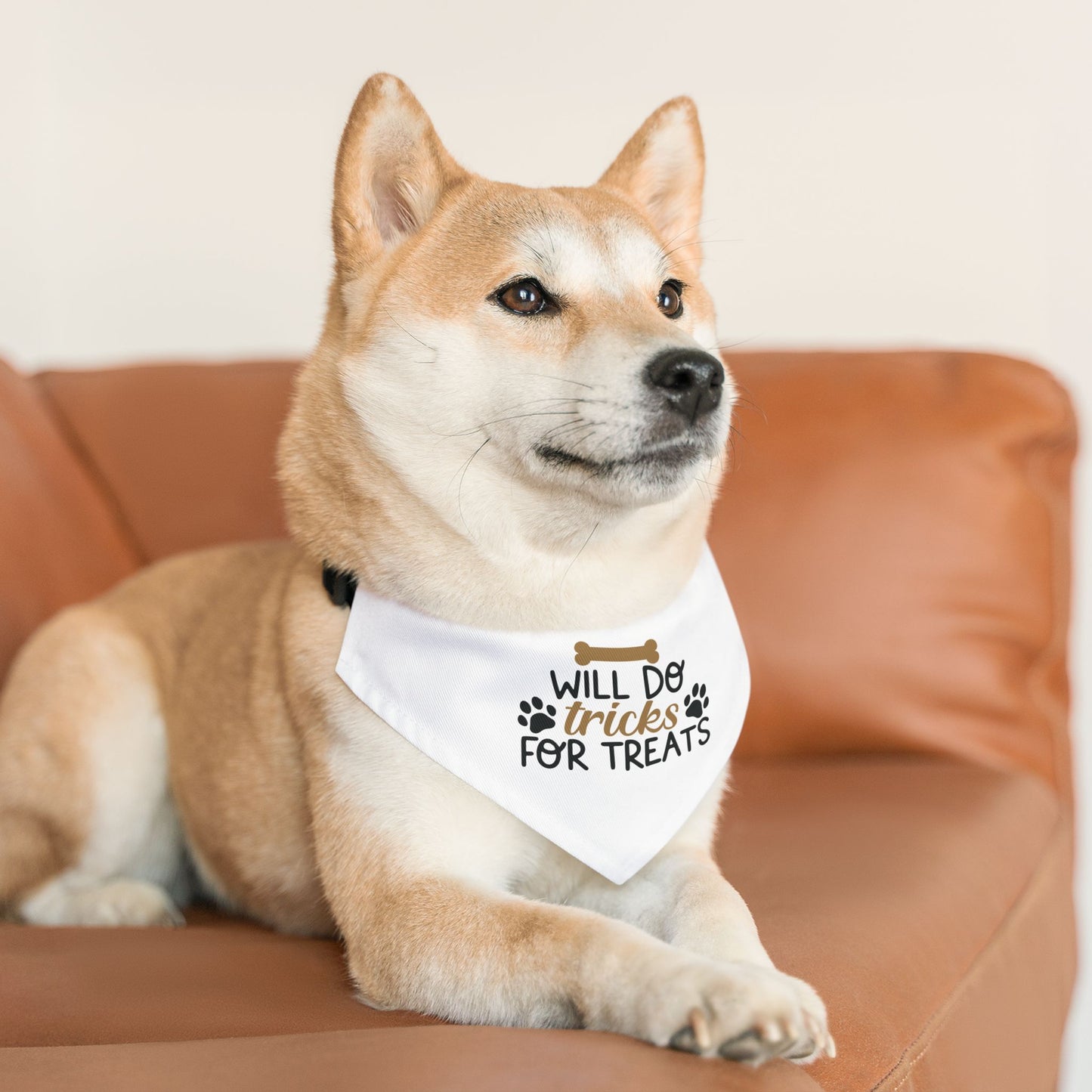 WILL DO TRICKS FOR TREATS. PET HUMOR. Pet Bandana Collar in Four Sizes.