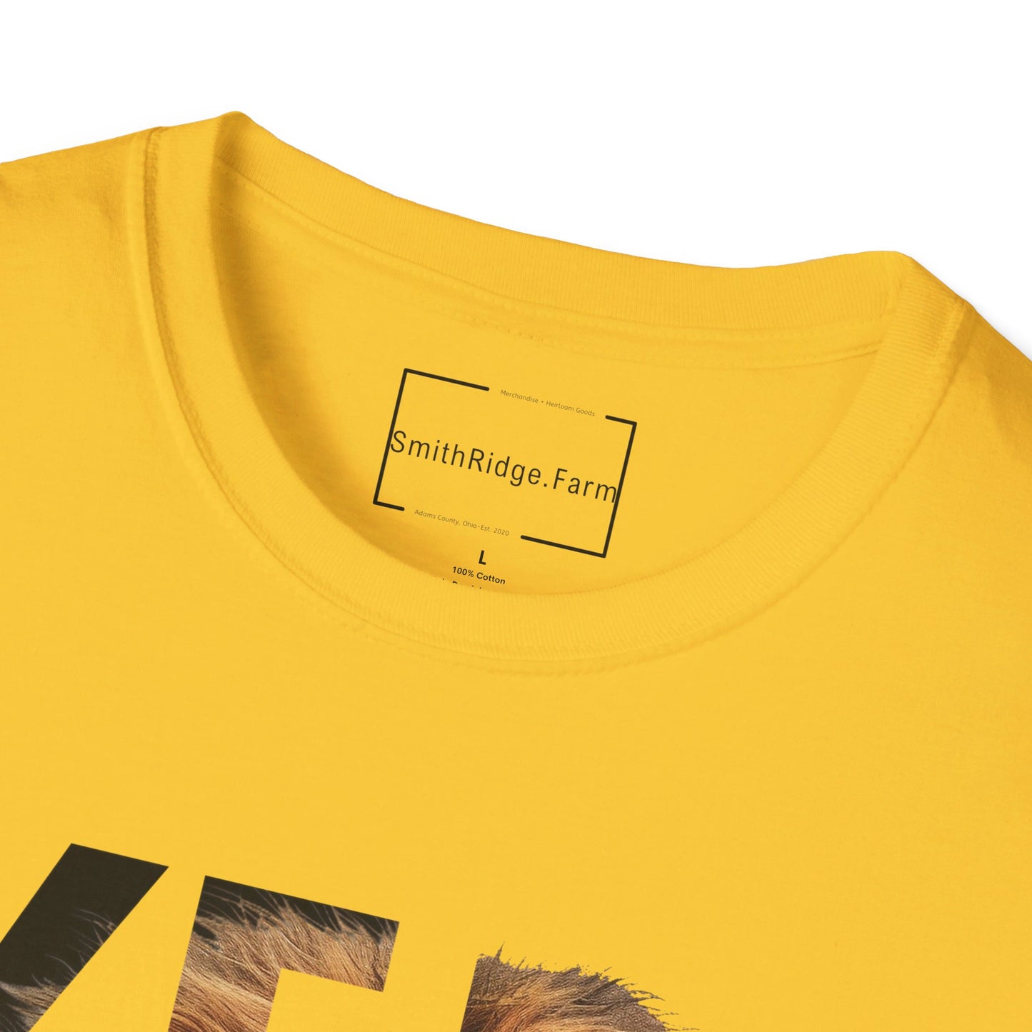 YESHUA, LION OF JUDAH. Cotton, Short Sleeve, Crew Neck Tee.
