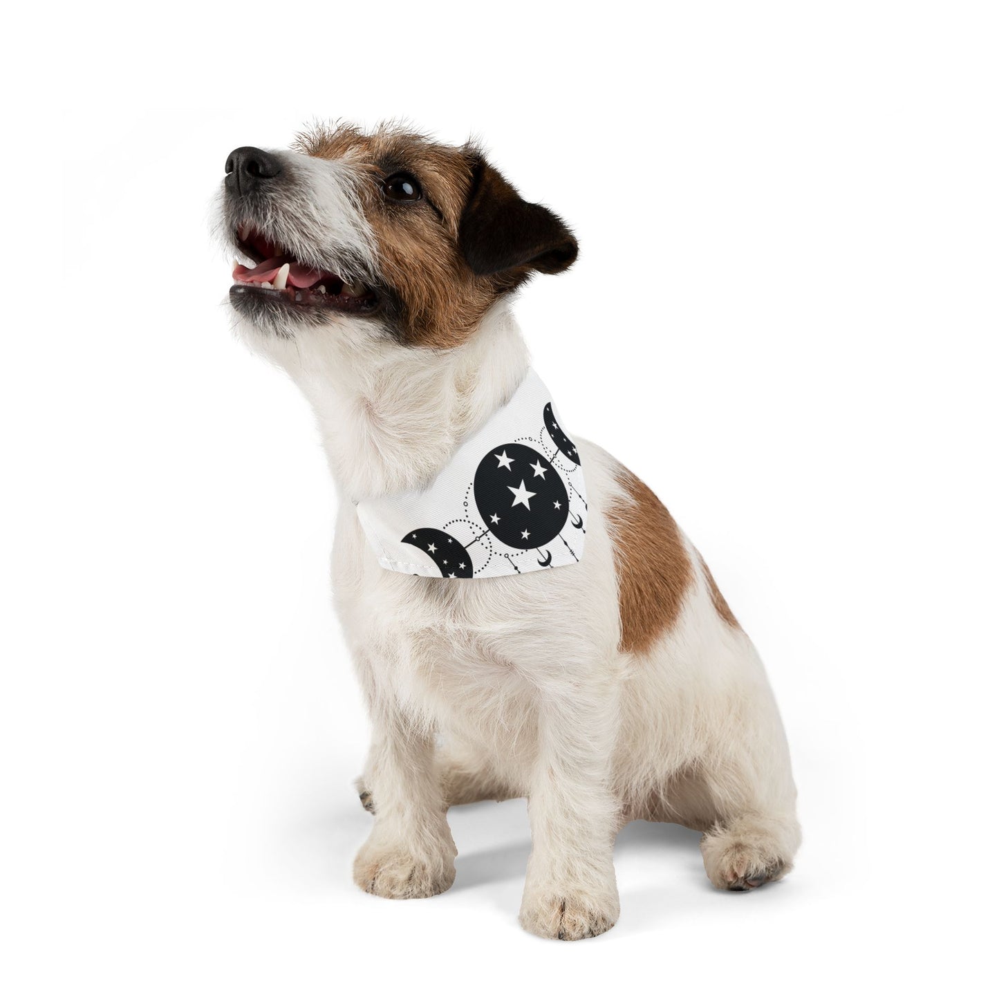 MYSTIC MOON, CELESTIAL MOON PHASE. Pet Bandana Collar in Four Sizes.