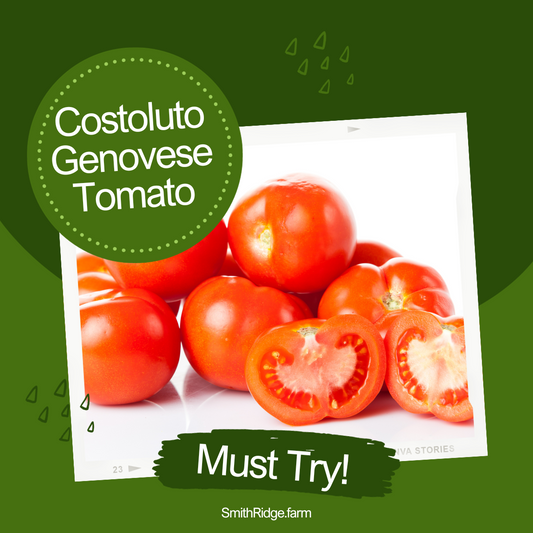 Costoluto Genovese Tomato is farm-fresh and raised in organic seed from heirloom seed right here on our farm. Fresh tastes better. Shop SmithRidge.farm