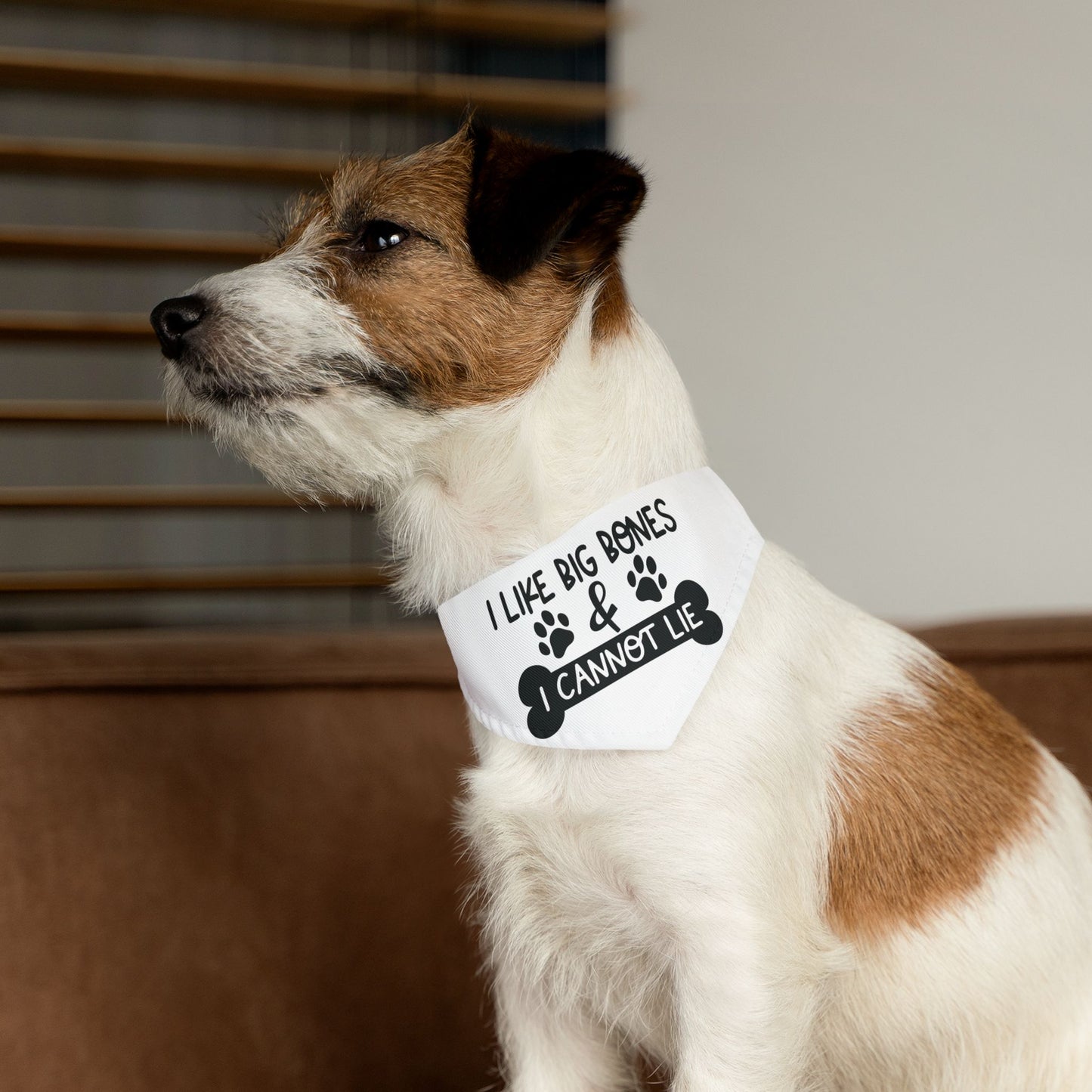 I LIKE BIG BONES AND I CANNOT LIE. PET HUMOR. Pet Bandana Collar in Four Sizes.