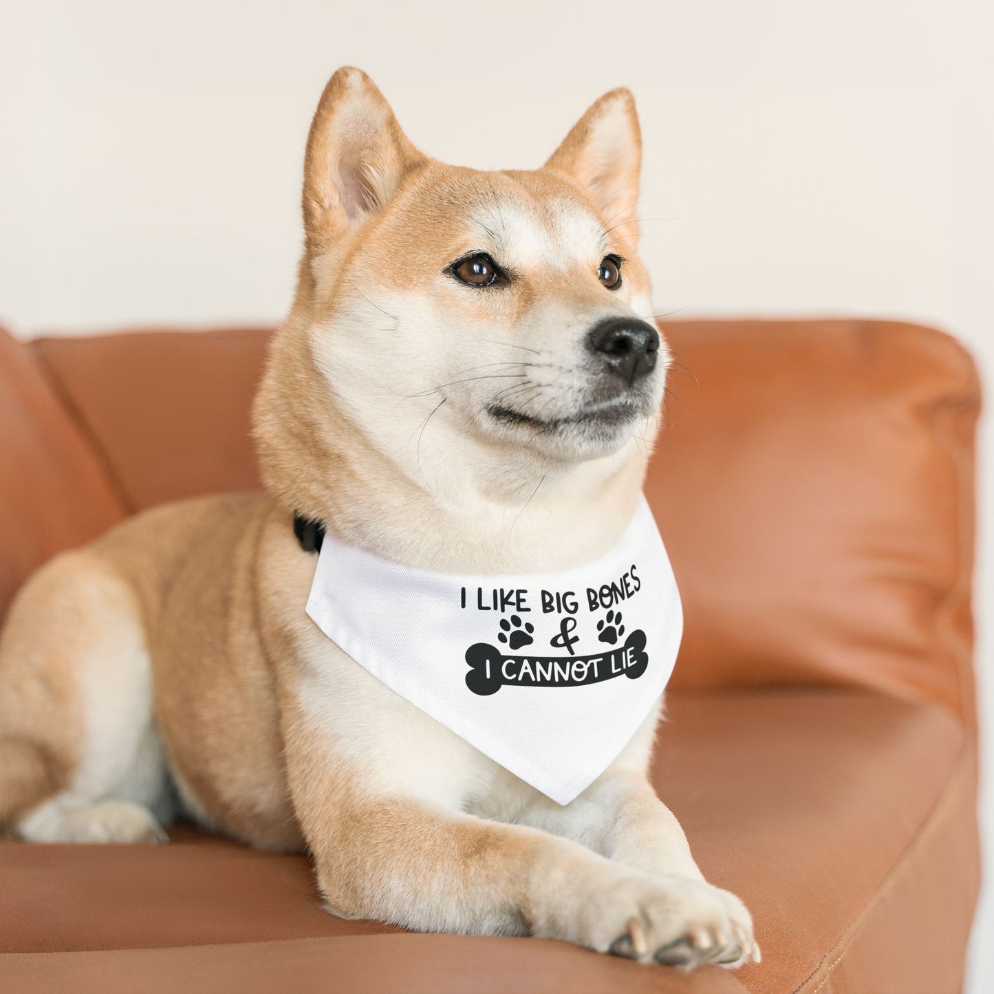 I LIKE BIG BONES AND I CANNOT LIE. PET HUMOR. Pet Bandana Collar in Four Sizes.