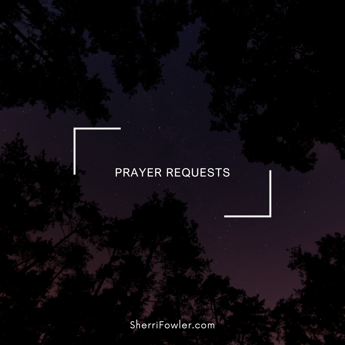 As children of God we are asked by our Heavenly Father to pray for one another. Please let me know how I can pray for you. Submit prayer requests at SherriFowler.com